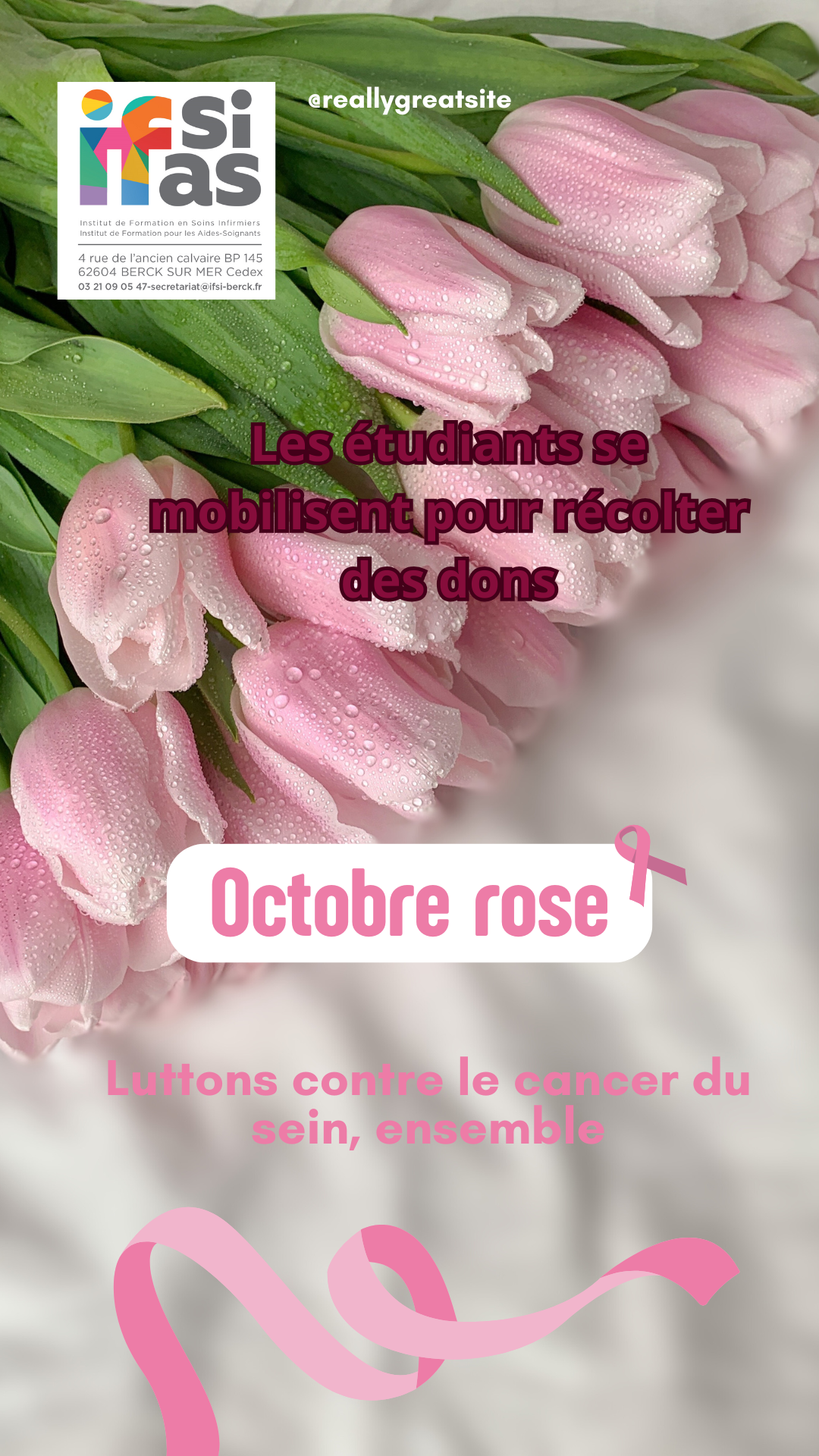 Rose Moderne Octobre rose femmes Story Instagram